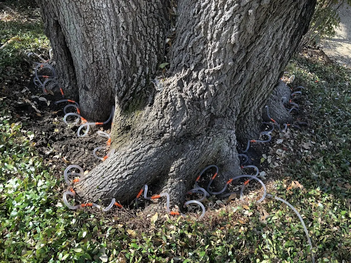 Detailed Shrub and Hedge Trimming job site in Almo